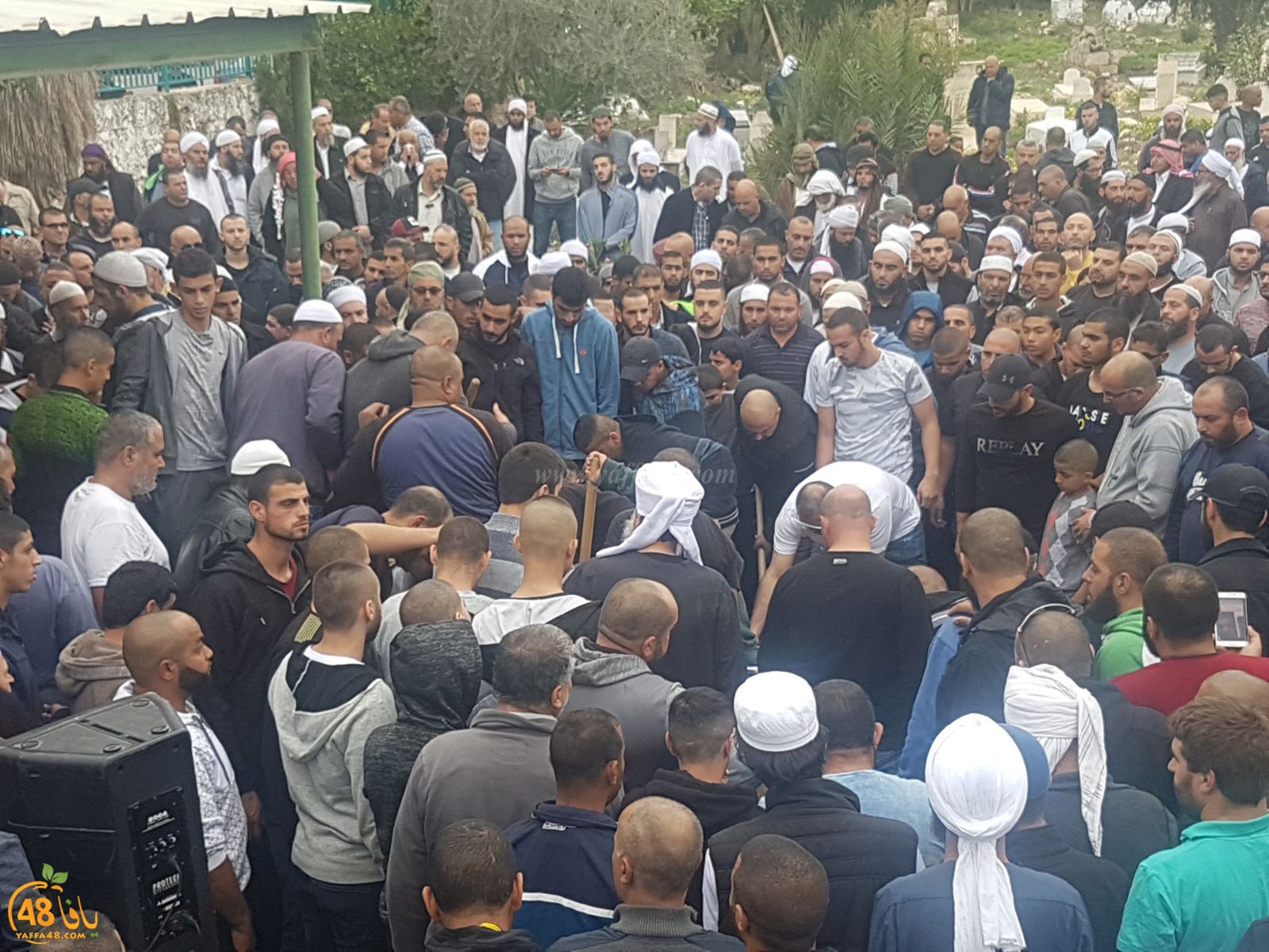 tasheeye3 om mhmoud (4).jpg